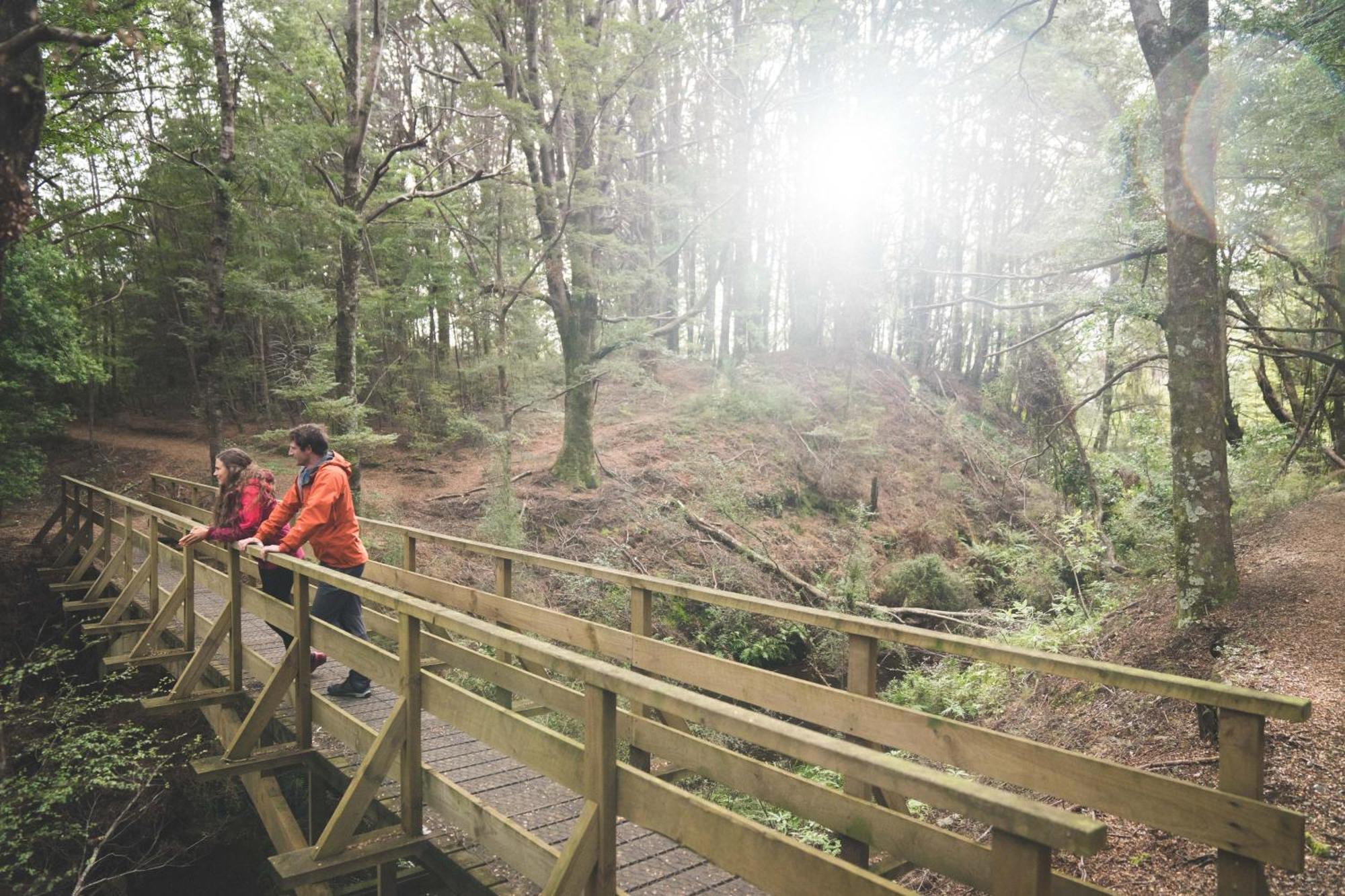 Fiordland National Park Lodge Te Anau Downs Bagian luar foto