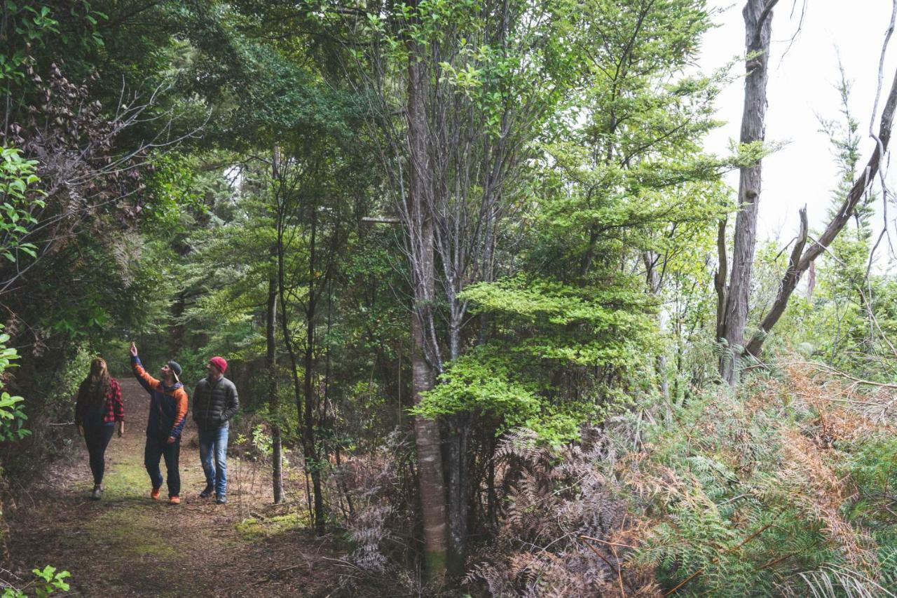 Fiordland National Park Lodge Te Anau Downs Bagian luar foto