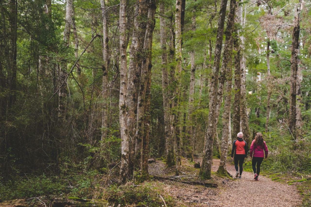 Fiordland National Park Lodge Te Anau Downs Bagian luar foto